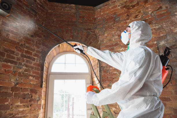 North Richland Hills, TX Mold Removal Company